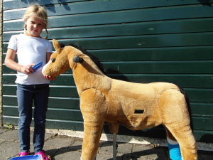 Paarden