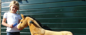 Paarden